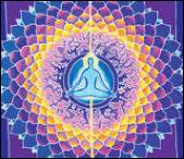 lotuscelticdragonfly