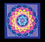 lotuscelticdragonfly