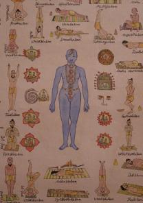 yoga asanas hand colored poster art